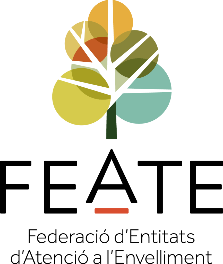 Logo de FEATE